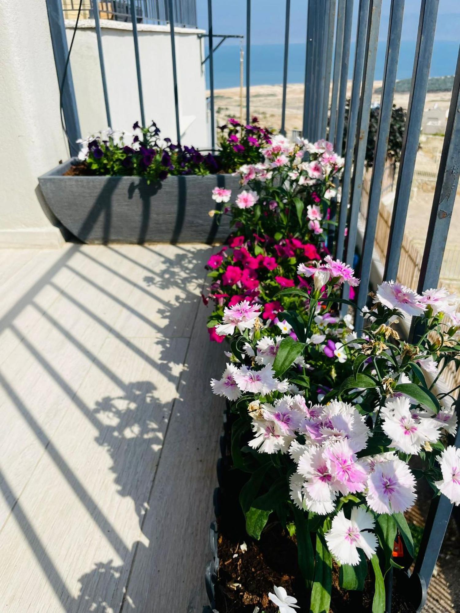 בין הר ובין ים Apartment Avnat Exterior foto